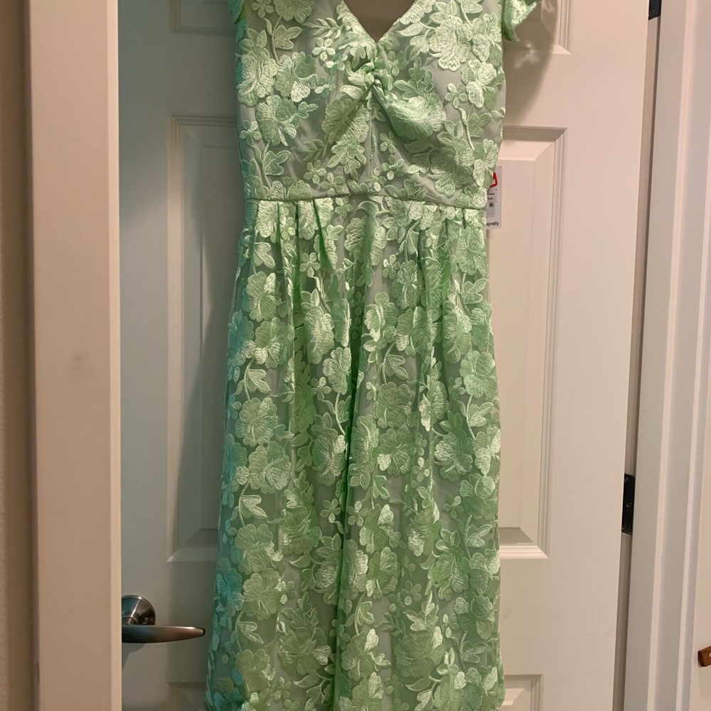 Kensie Mint Green Floral Lace Dress